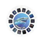 Marine Life