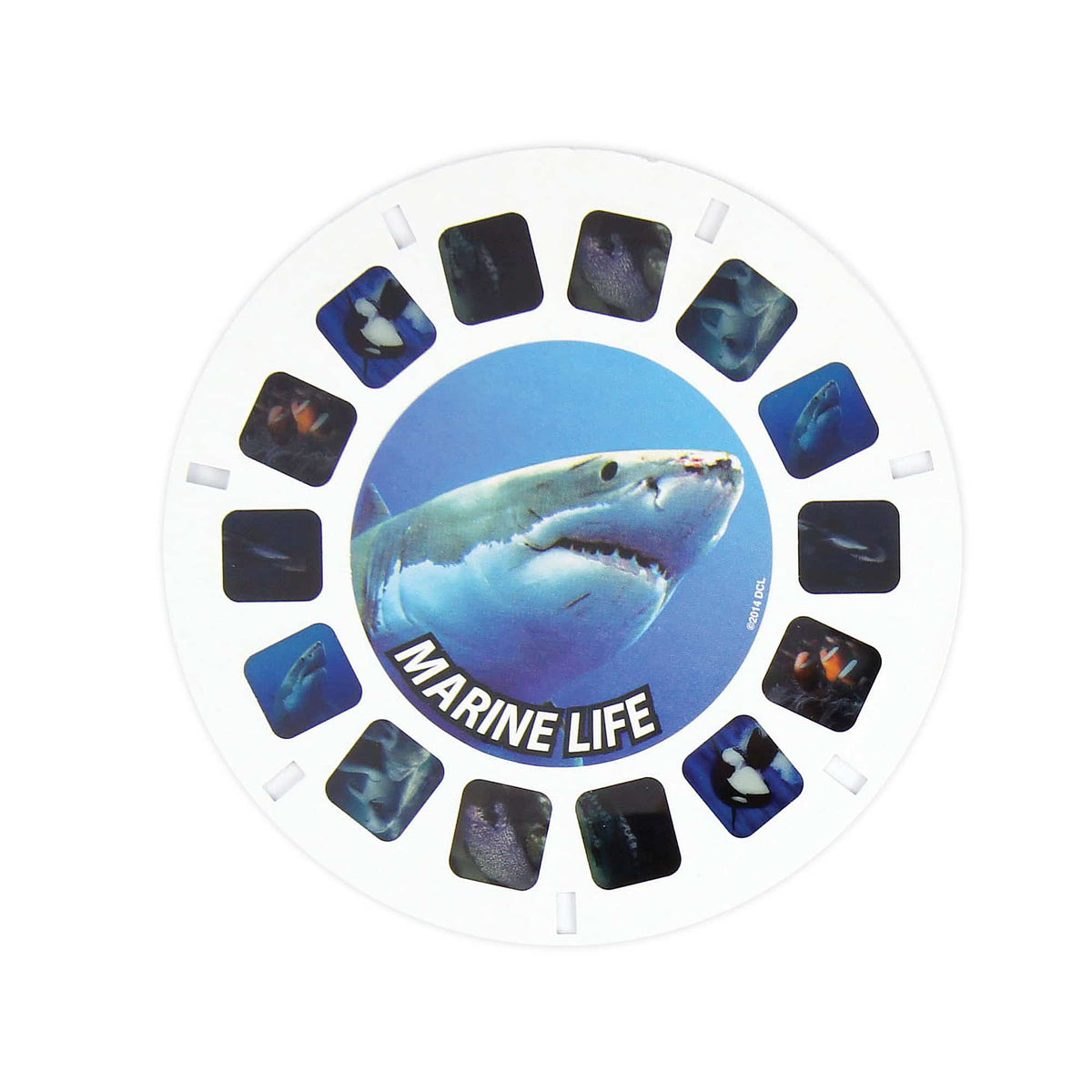 Marine Life