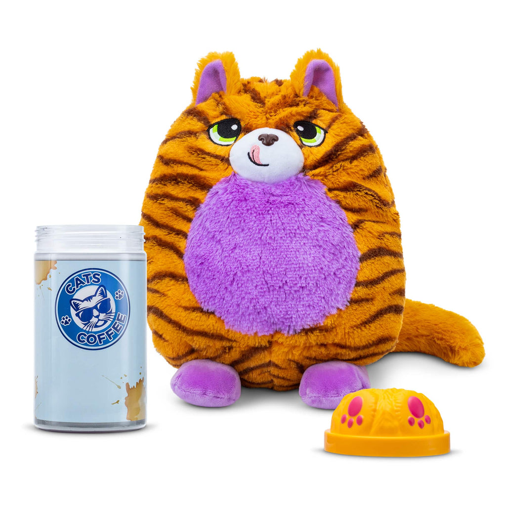 Misfittens Assortment – Cats