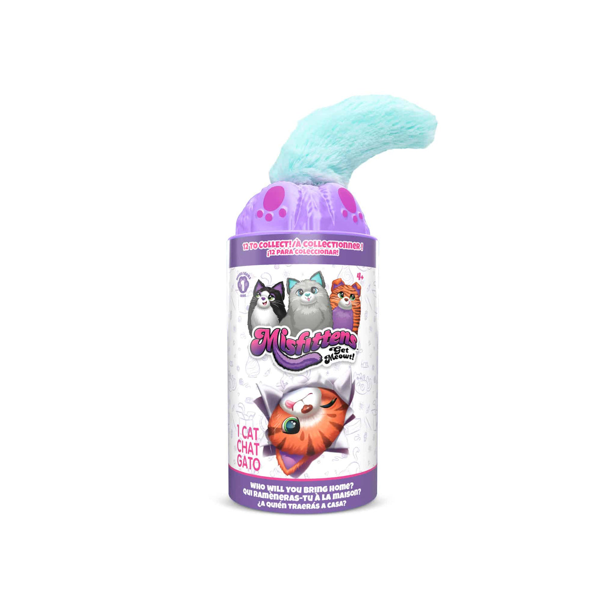 Misfittens Assortment – Cats