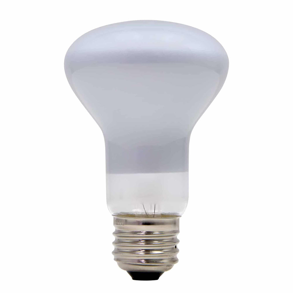 100W Lamp Light Bulb