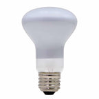 100W Lamp Light Bulb