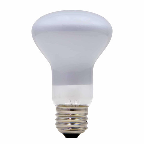 100W Lamp Light Bulb