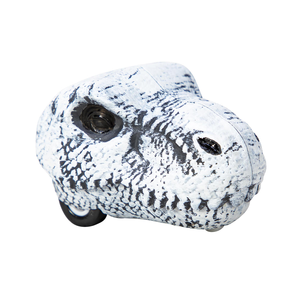 Chomp & Go Dino Skulls