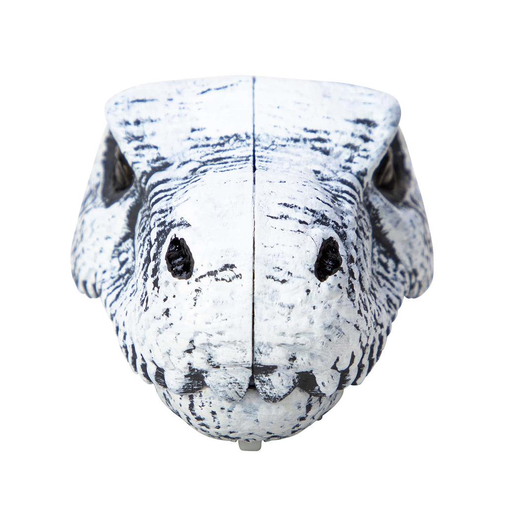Chomp & Go Dino Skulls