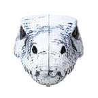 Chomp & Go Dino Skulls