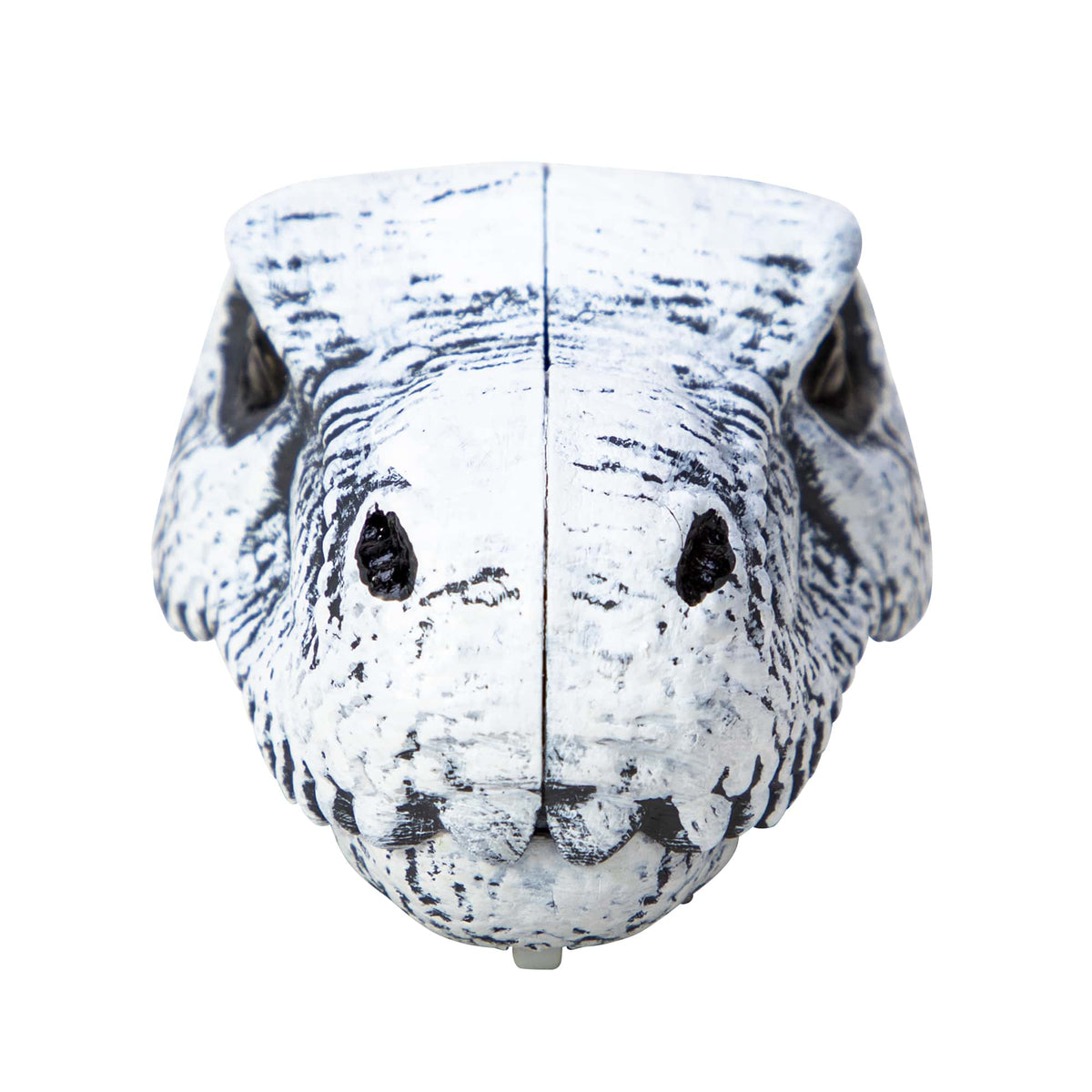 Chomp & Go Dino Skulls