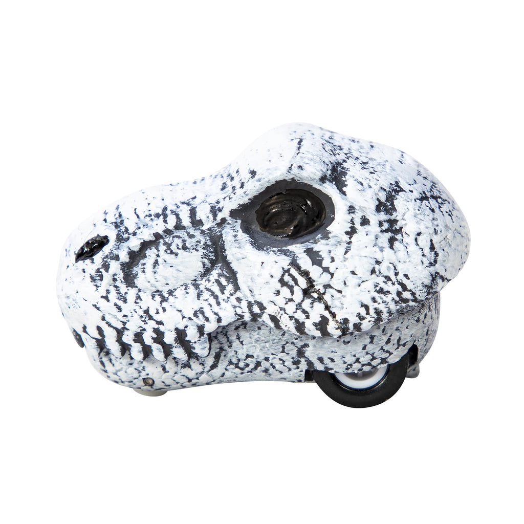 Chomp & Go Dino Skulls