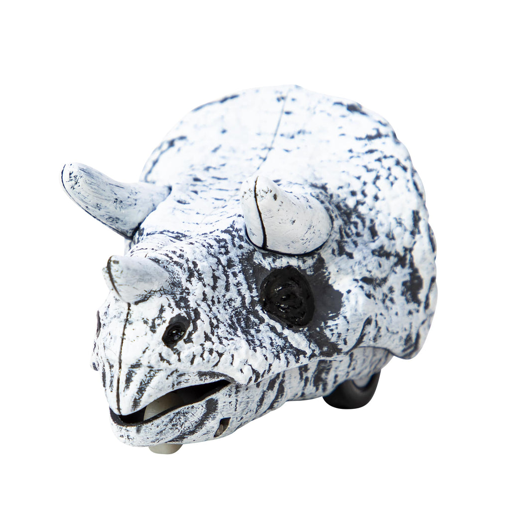 Chomp & Go Dino Skulls